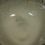 DSC07131