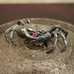 The way cool river crab.