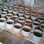 freshly trimmed cups