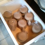 double decker damp box with foam sheet separator