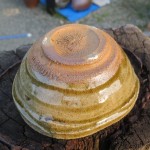 IMG_0065