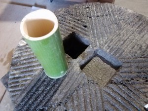 Fresh section of bamboo cut for the waste basket.