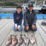 Fishing the other day. Caught some nice Sea Bream